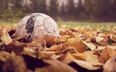 Autumn Maintenance: The Key to Sports Pitch Success